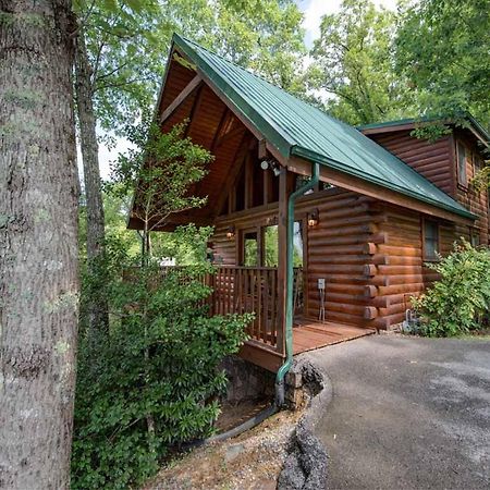 Cubs Cove Villa Gatlinburg Ngoại thất bức ảnh