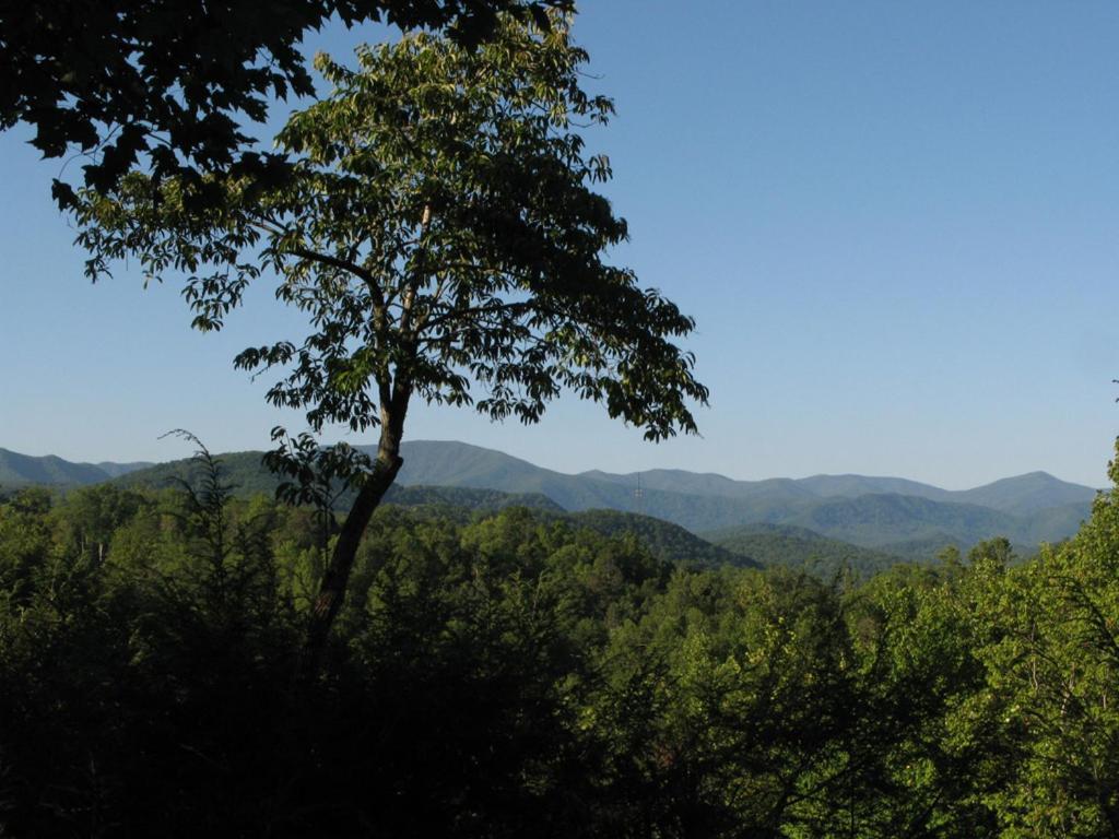 Cubs Cove Villa Gatlinburg Ngoại thất bức ảnh